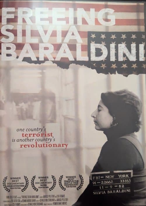 Freeing Silvia Baraldiniのポスター