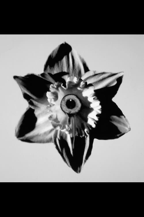 Das ist das Lebenのポスター