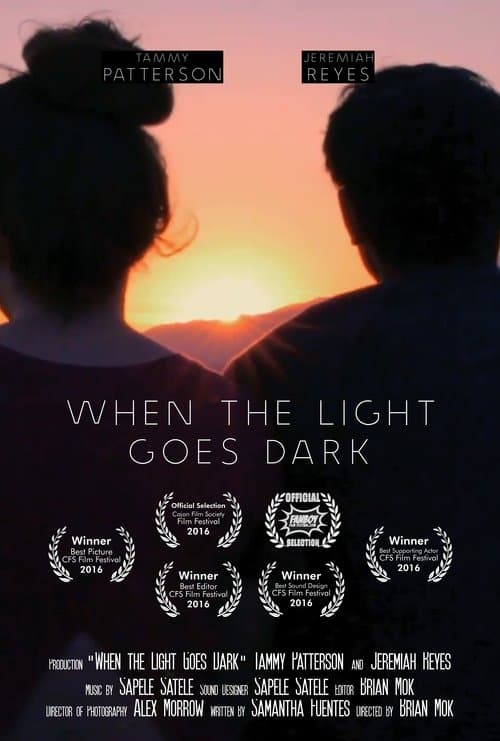 When the Light Goes Darkのポスター