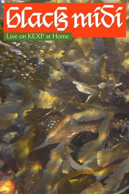 black midi: Live on KEXP at Homeのポスター