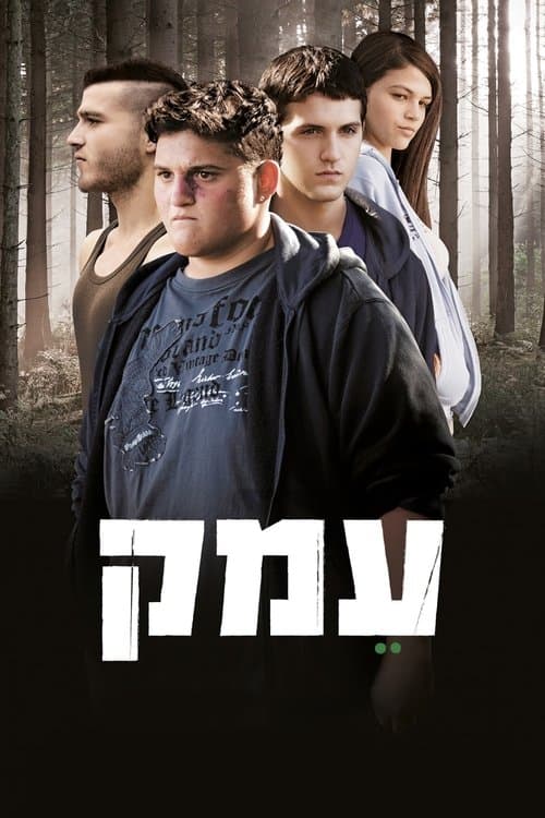 עמקのポスター