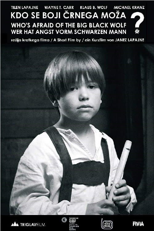 Kdo se boji črnega moža?のポスター