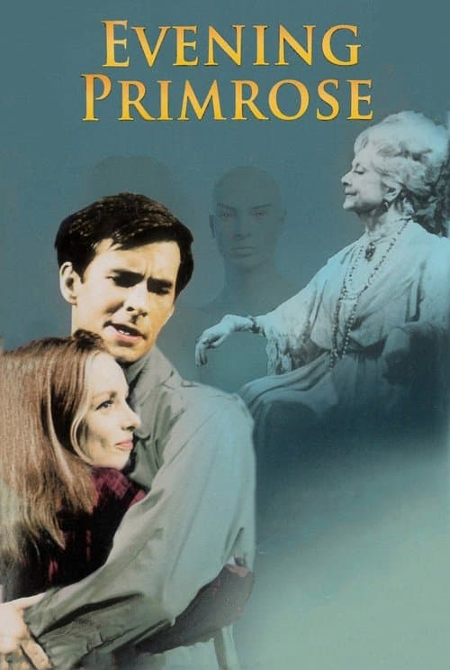 Evening Primroseのポスター