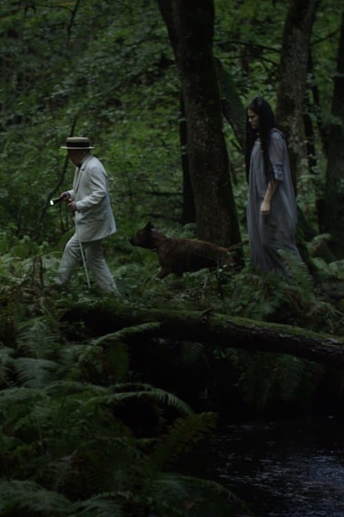 Speldosanのポスター