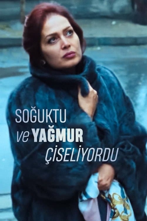 Soğuktu ve Yağmur Çiseliyorduのポスター