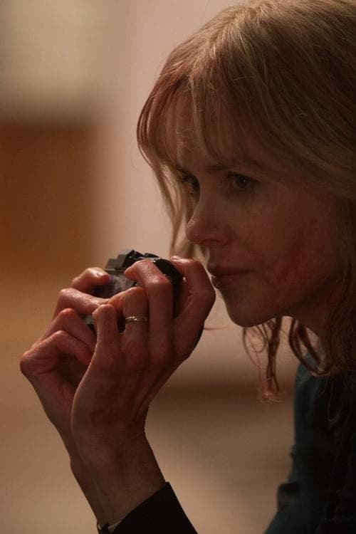 The Silent Wifeのポスター