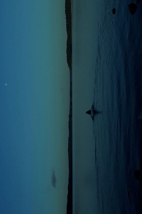 THE WATERSのポスター