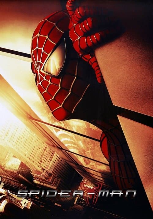 Spider-Man: The Mythology of the 21st Centuryのポスター