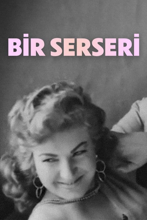 Bir Serseriのポスター