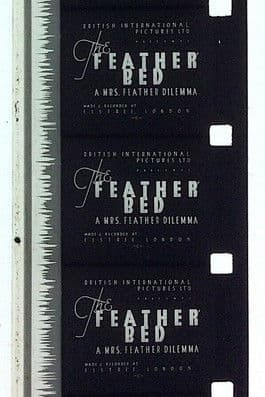 The 'Feather' Bed: A Mrs. Feather Dilemmaのポスター