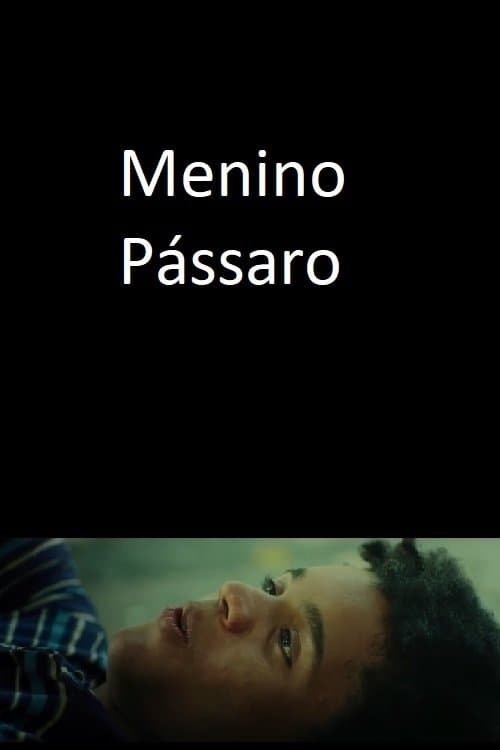 Menino Pássaroのポスター