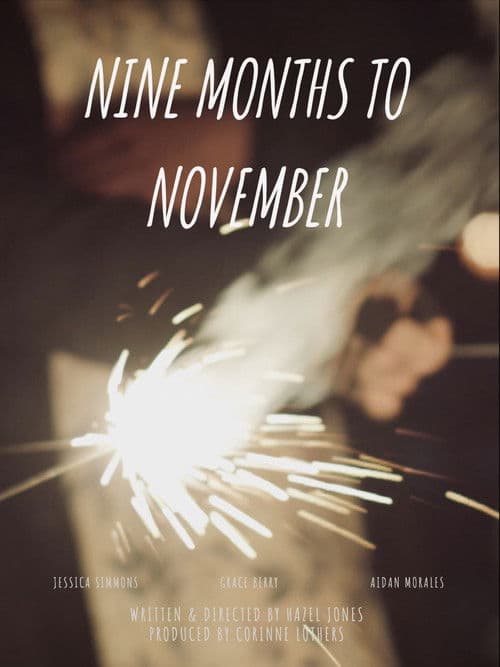 Nine Months to Novemberのポスター