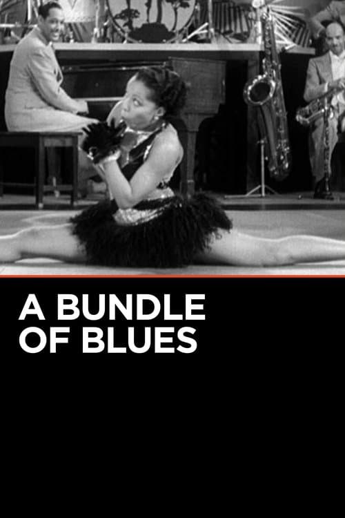 A Bundle of Bluesのポスター
