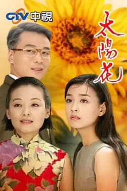 太阳花のポスター