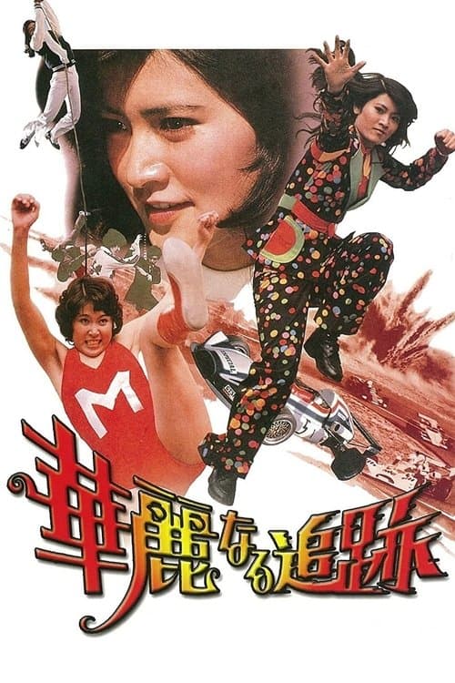 華麗なる追跡のポスター