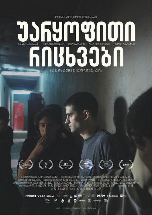 უარყოფითი რიცხვებიのポスター