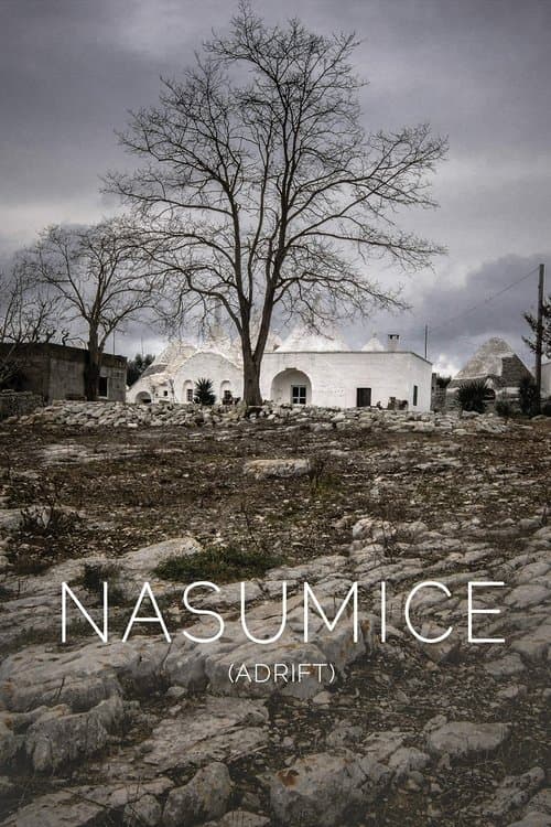 Nasumiceのポスター