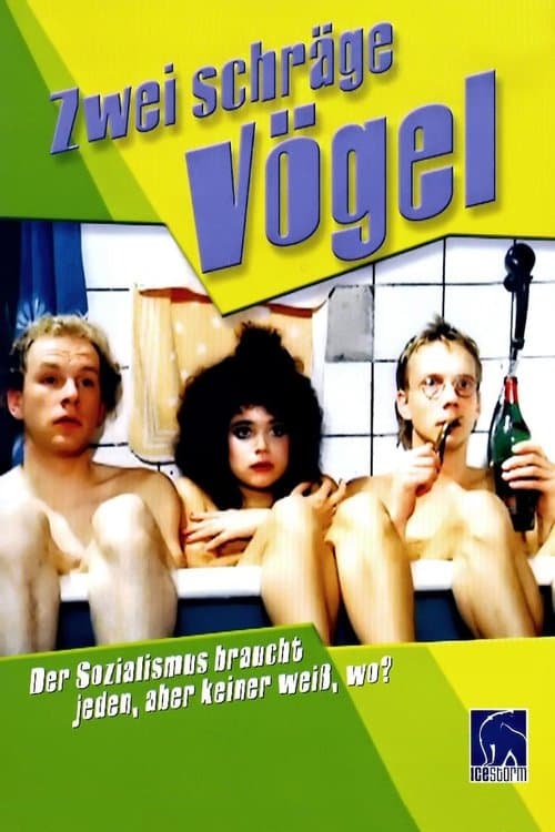 Zwei schräge Vögelのポスター