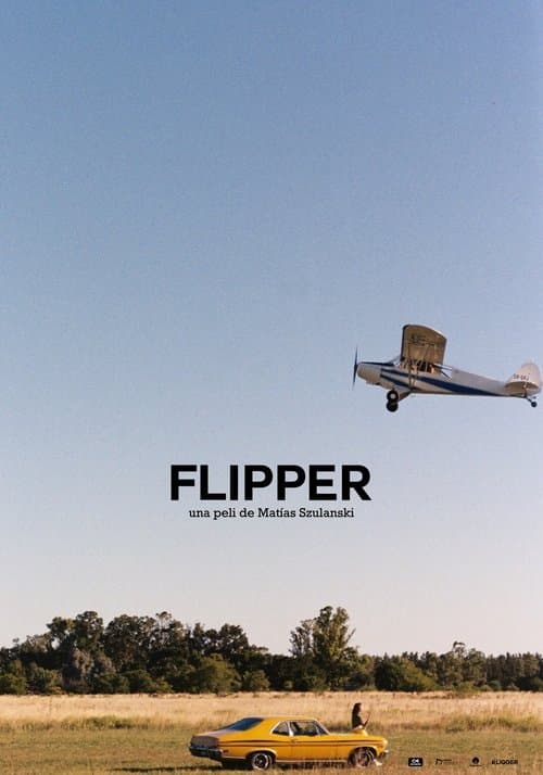 Flipperのポスター