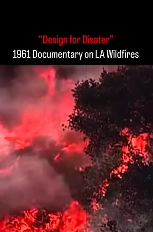 Design for Disasterのポスター