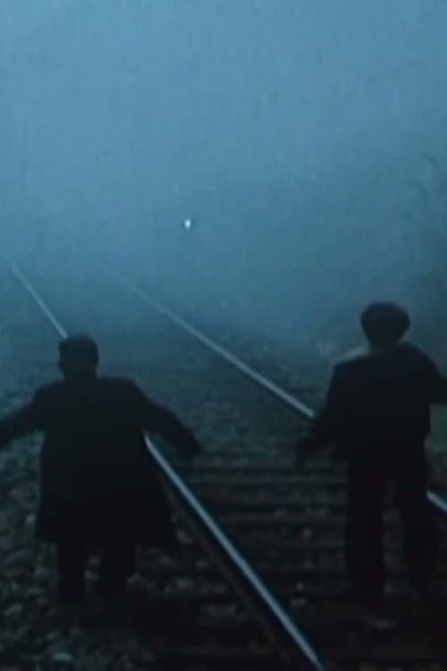 Binarëtのポスター