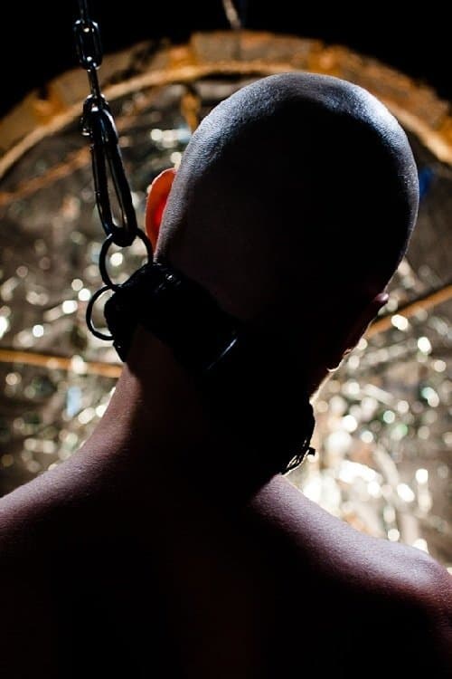 Sto psovのポスター