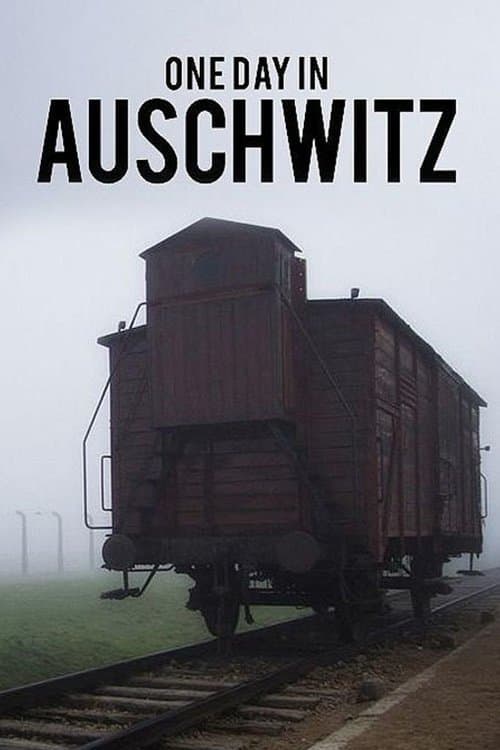 One Day in Auschwitzのポスター