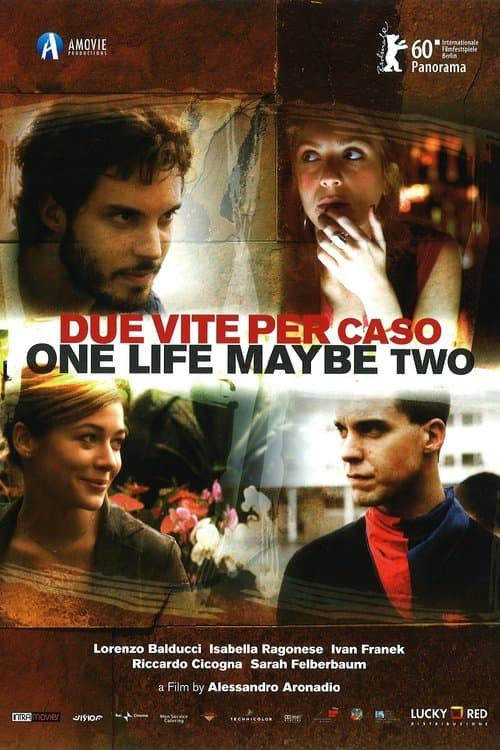 Due vite per casoのポスター