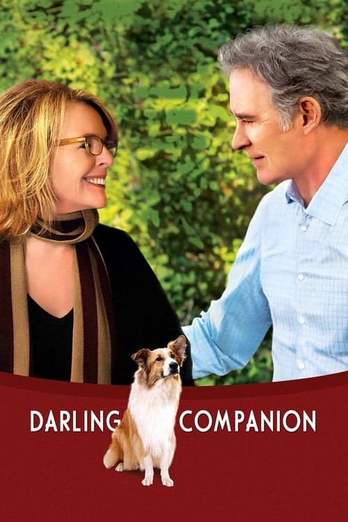 Darling Companionのポスター