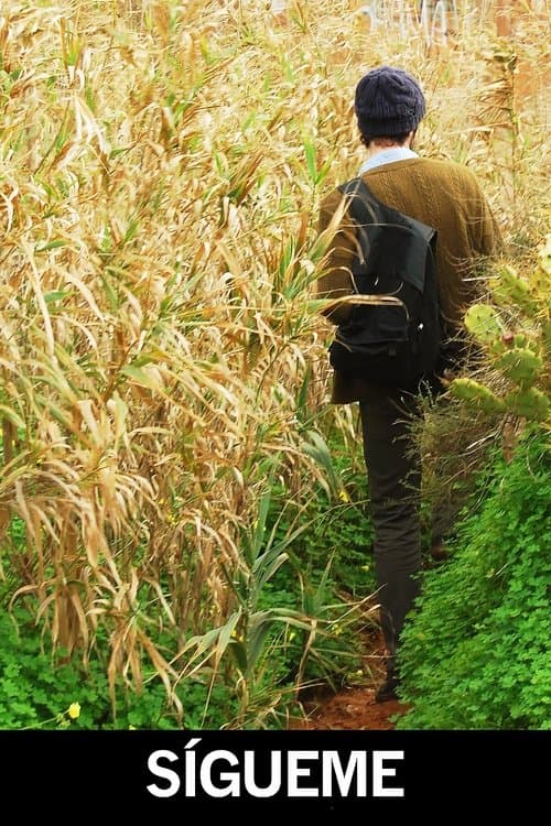 Síguemeのポスター