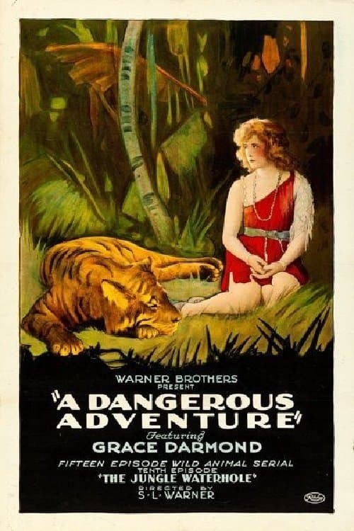 A Dangerous Adventureのポスター
