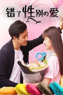 错了性别的爱のポスター