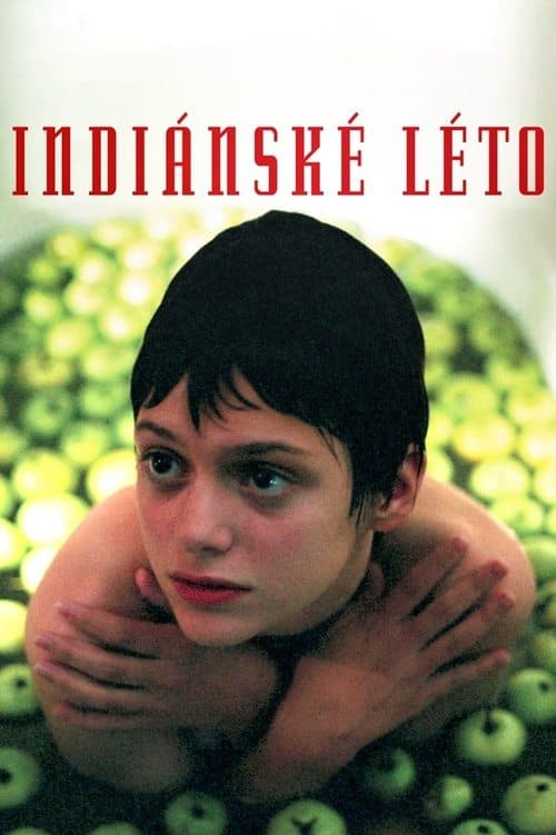 Indiánské létoのポスター