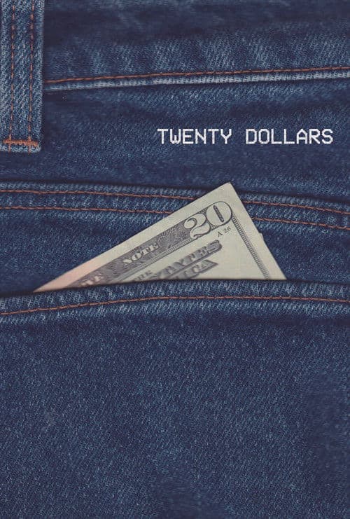 Twenty Dollarsのポスター