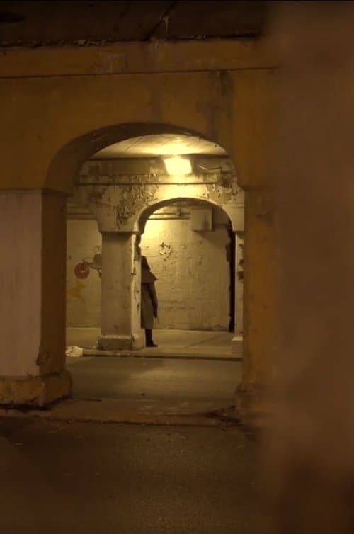 Mister Sticksのポスター