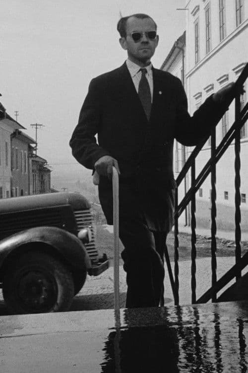 Poznačení tmouのポスター