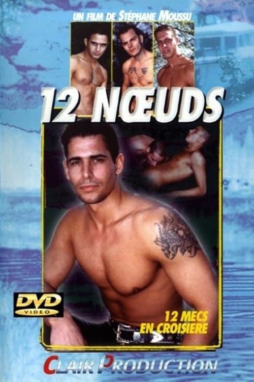 12 Noeudsのポスター