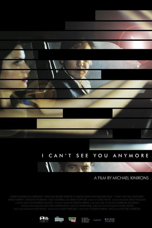I Can't See You Anymoreのポスター