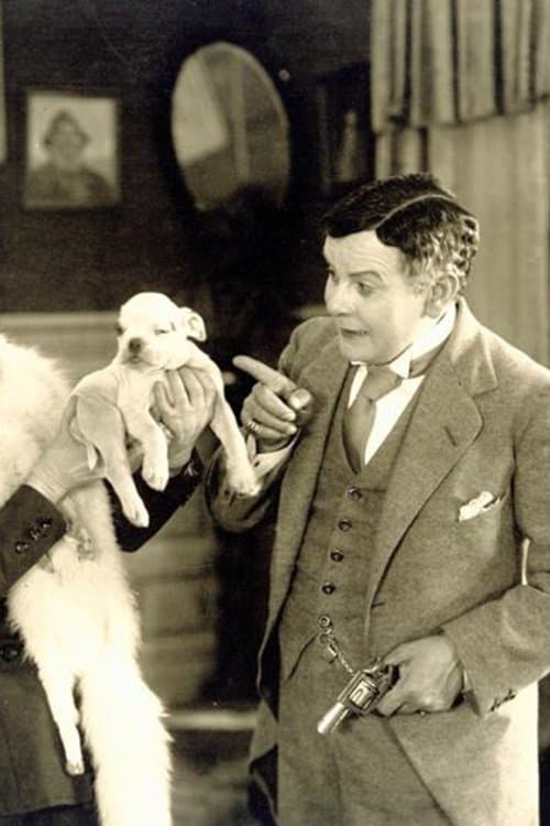 Det lille Pusのポスター