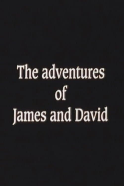 The Adventures of James and Davidのポスター