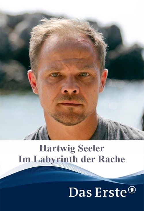 Hartwig Seeler – Im Labyrinth der Racheのポスター