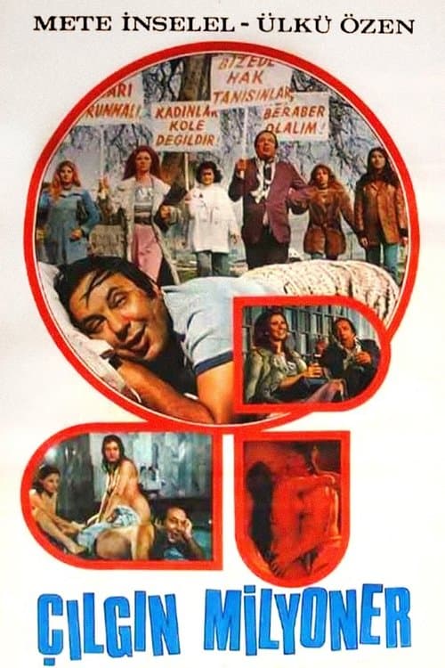 Çılgın Milyonerのポスター