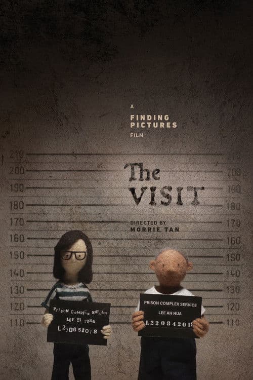 The Visitのポスター