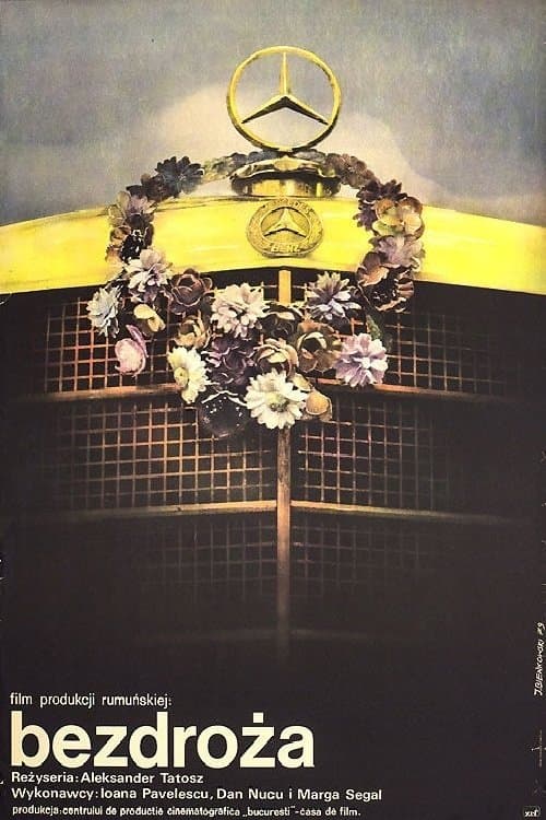 Rătăcireのポスター