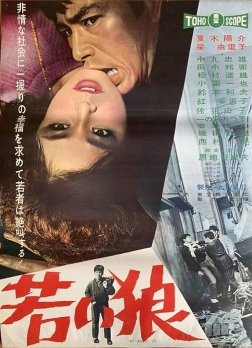 若い狼のポスター