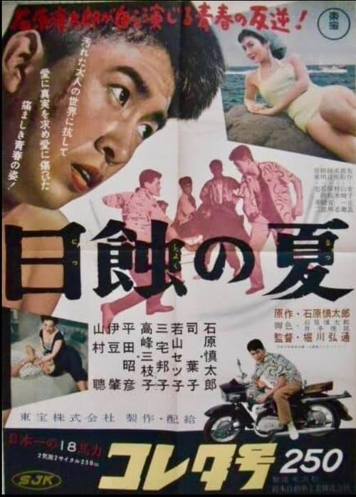 日蝕の夏のポスター