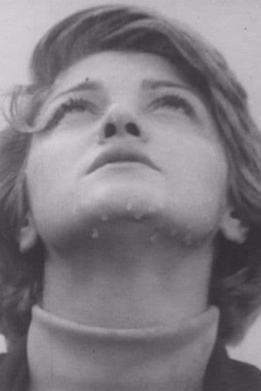 بهار پشت پنجرهのポスター