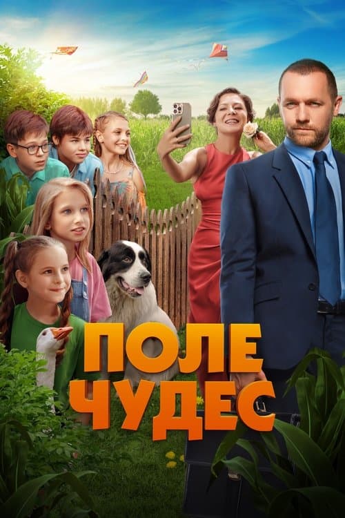 Поле чудесのポスター