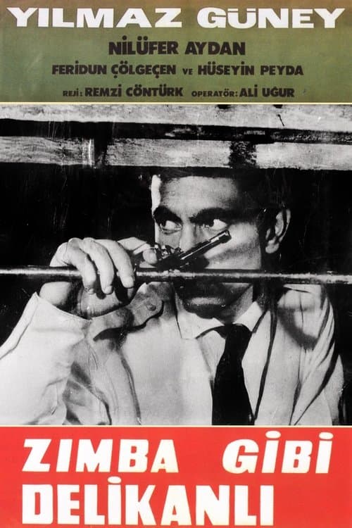 Zımba Gibi Delikanlıのポスター