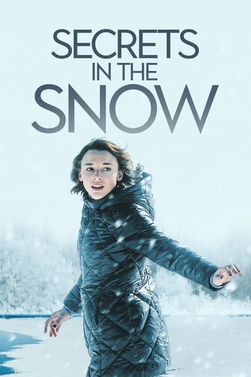 Secrets in the Snowのポスター
